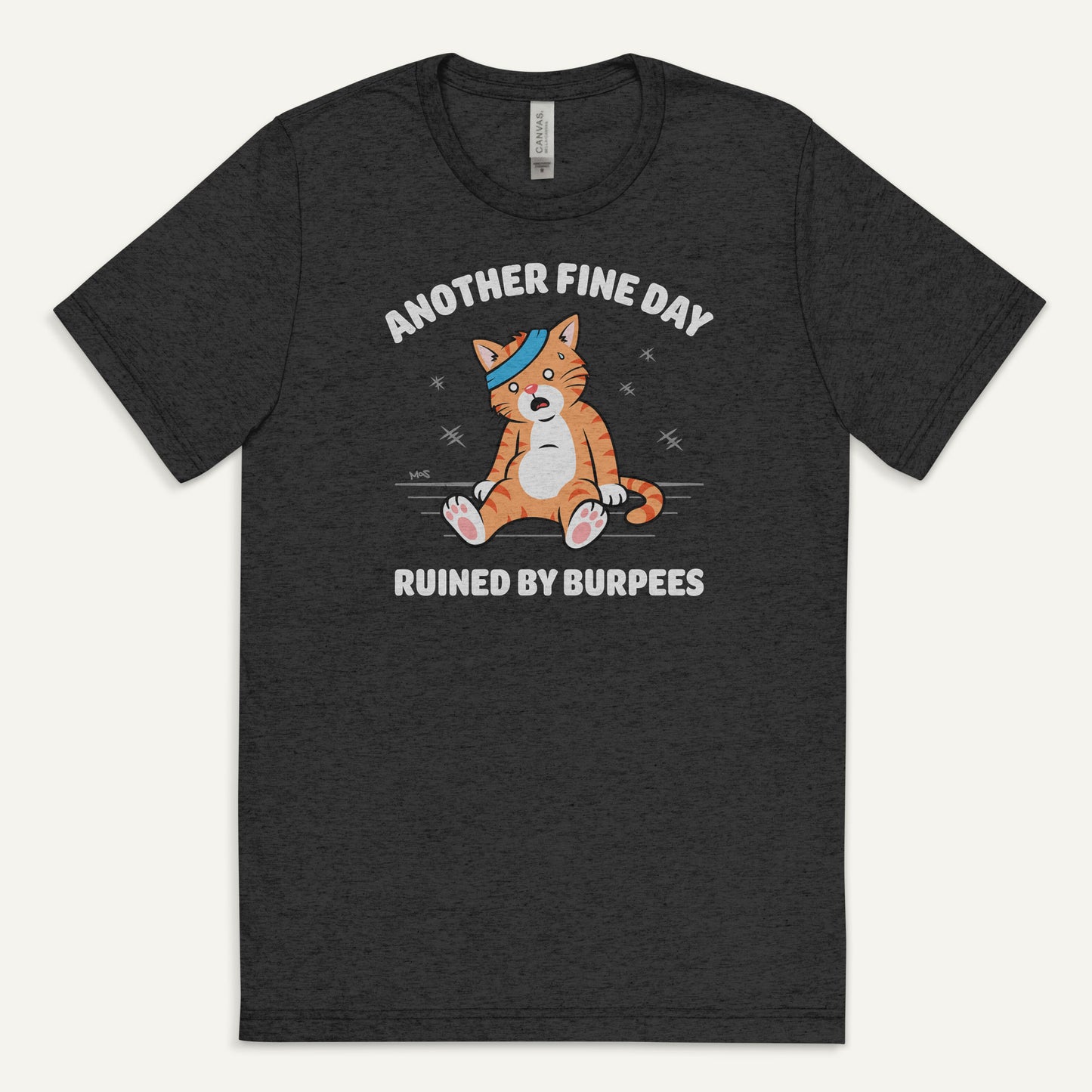 Another Fine Day Ruined By Burpees Men’s Triblend T-Shirt