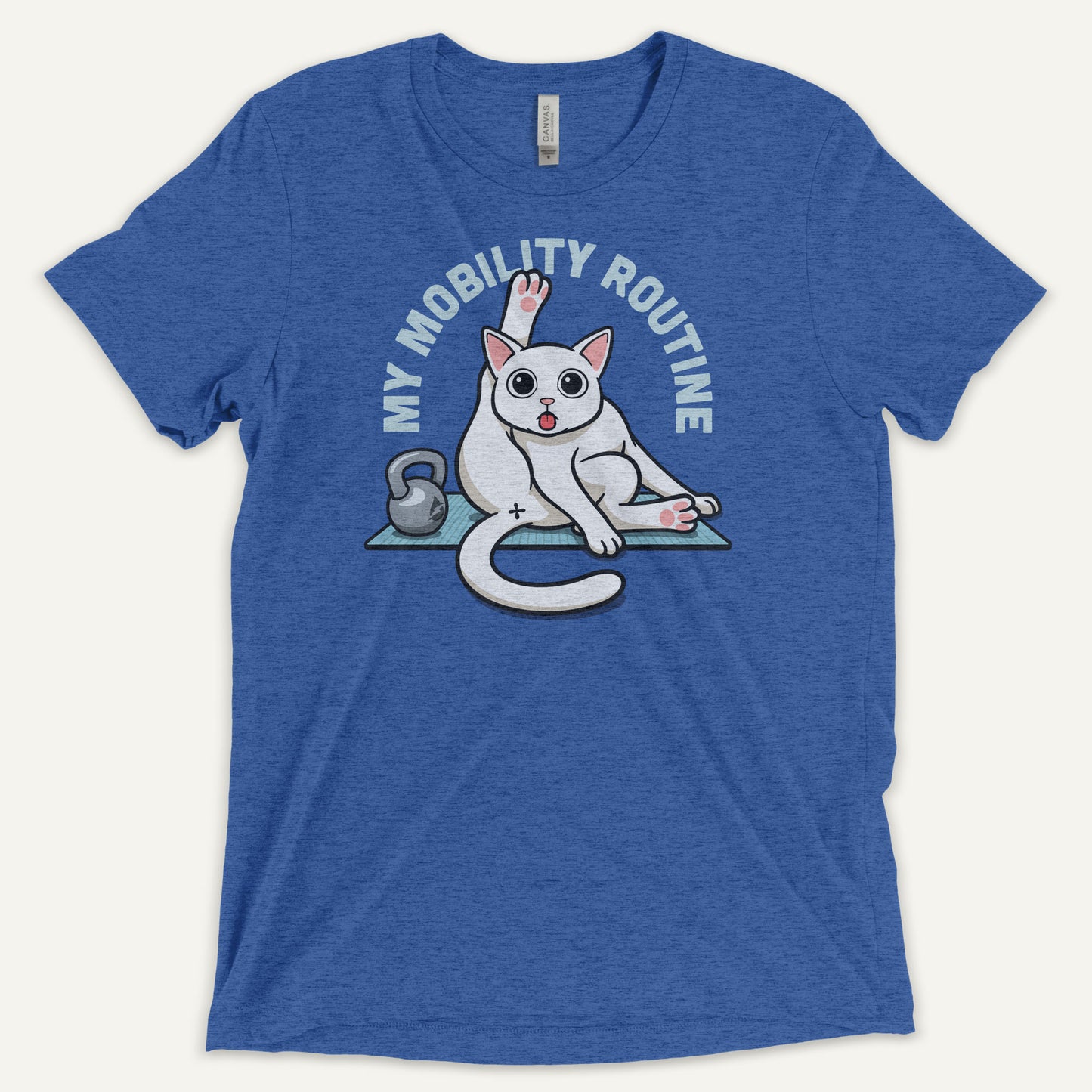 Cat Mobility Routine Men’s Triblend T-Shirt - Ministry of Sweat