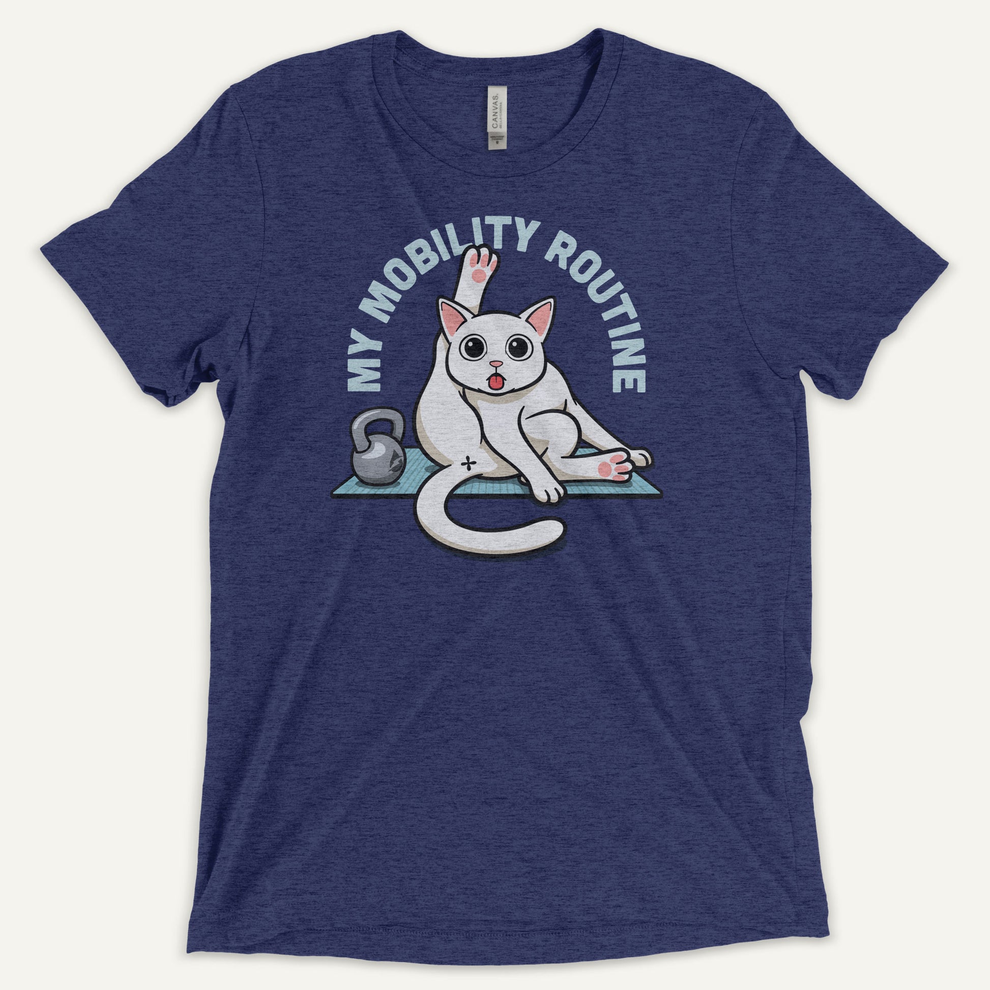 Cat Mobility Routine Men’s Triblend T-Shirt - Ministry of Sweat